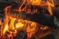 Hot campfire flames up close, Burning fire wood background. Royalty Free Stock Photo