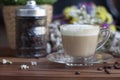 Hot cappuccino coffee, flavor, aroma in morning Royalty Free Stock Photo