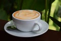 Hot cappuccino in garden Royalty Free Stock Photo