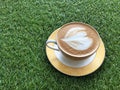 Hot Cappuccino on the yard Royalty Free Stock Photo