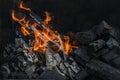 hot charcoal and flame of fire. texture of flaming burning firewood. Wide banner, flame background Royalty Free Stock Photo