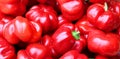 The Hot Cherry Bomb is medium heat pepper, similar to a jalapeno.
