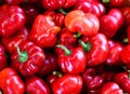 The Hot Cherry Bomb is medium heat pepper,