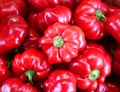 The Hot Cherry Bomb is medium heat pepper,