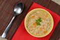 Hot chicken soup broth Royalty Free Stock Photo