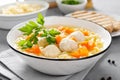 Hot chicken soup, broth with meatballs, carrot, pasta and fresh parsley Royalty Free Stock Photo