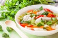 Hot chicken soup with vegetables Royalty Free Stock Photo