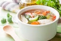 Hot chicken soup with vegetables Royalty Free Stock Photo