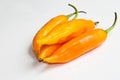 Hot chili Aji amarillo. Royalty Free Stock Photo