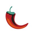Hot chili pepper, fresh product ingredient vector