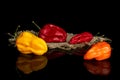 Hot chili pepper isolated on black glass Royalty Free Stock Photo