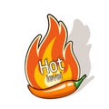 Hot chili pepper pod and fire flame from behind. Hot level of spiciness