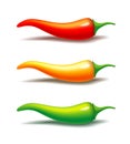 Hot chili pepper. Vector semi realistic illustration