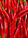 Hot chili peppers, background of many red peppers. Royalty Free Stock Photo