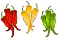 Hot Chili Peppers Clip Art 2 Royalty Free Stock Photo