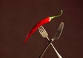 Hot chili red pepper on a fork. Spice concept Royalty Free Stock Photo