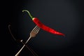 Hot chili red pepper on a fork. Spice concept Royalty Free Stock Photo