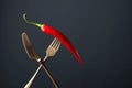 Hot chili red pepper on a fork. Spice concept Royalty Free Stock Photo