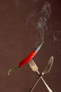 Hot chili red pepper smoking on a fork. Spice concept Royalty Free Stock Photo