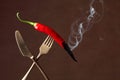 Hot chili red pepper smoking on a fork. Spice concept Royalty Free Stock Photo