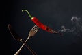 Hot chili red pepper smoking on a fork. Spice concept Royalty Free Stock Photo