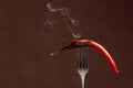 Hot chili red pepper smoking on a fork. Spice concept Royalty Free Stock Photo