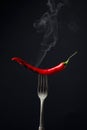 Hot chili red pepper smoking on a fork. Spice concept Royalty Free Stock Photo