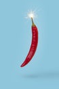 Hot chilli pepper with bomb wick isolated on blue background. Minimal creative composition of vegetable