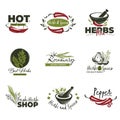 Hot chilli pepper, herbs and spices labels vector