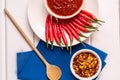 Homemade red Harissa Paste, chili pepper spices and fresh red chilli peppers Royalty Free Stock Photo