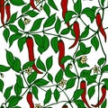 Hot chilli pepper seamless pattern. eps10 vector illustration. hand drawing Royalty Free Stock Photo