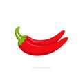 Chilli pepper vector illustration, spice