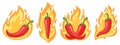 Hot chilli peppers. Cartoon spicy red chilli pepper in fire flames, red hot burning mexican peppers isolated vector Royalty Free Stock Photo