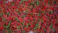 Hot chilli peppers pattern texture background. Close up background landscape of hot chili peppers Royalty Free Stock Photo