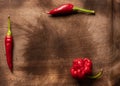 Hot chilli Thai cayenne and Trinidad scorpion pepper on wooden board with space for text Royalty Free Stock Photo