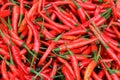 Hot Chillies