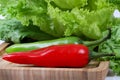 Hot chillies Royalty Free Stock Photo