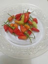 Hot chillies on a plate Royalty Free Stock Photo