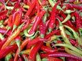 Hot chilly peppers Royalty Free Stock Photo