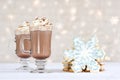Hot choclate and cookies - winter treat Royalty Free Stock Photo