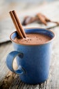 Hot chocolate Royalty Free Stock Photo