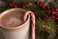 Hot chocolate, candy cane and evergreen boughs Royalty Free Stock Photo
