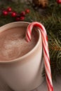 Hot chocolate, candy cane and evergreen boughs Royalty Free Stock Photo