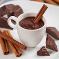Hot chocolate, chocolate chips, cinnamon and star anise Royalty Free Stock Photo