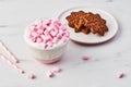Hot chocolate or cocoa with whipped cream and pink marshmallow and Christmas gingerbread cookies Royalty Free Stock Photo