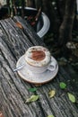 Hot chocolate or coffee with foam milk in white cup on Timber and green leave Background blurry views tree .Christmas Holiday conc