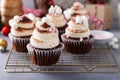 Hot chocolate cupcakes with whipped cream frosting topped with marshmallows Royalty Free Stock Photo