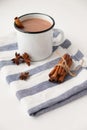 Hot chocolate drink with spices. Winter drink.