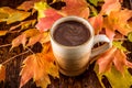 Hot Chocolate in the Fall Royalty Free Stock Photo