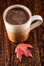 Hot Chocolate in the Fall Royalty Free Stock Photo